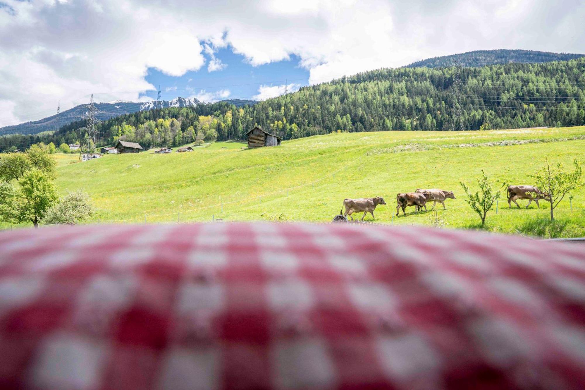 Kinderbauernhof Ierzerhof Arzl im Pitztal Esterno foto